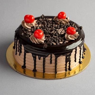 Chocolate Choco Chip
